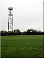 Phone Mast by Leighton Road