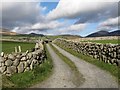 Farm access road heading north from Sabbath Hill