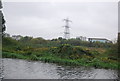 Pylon in the Lea Valley