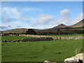 Stone wall fields west of Ballyveaghmore Road