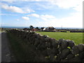 Single stone wall on Sabbath Hill road