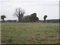 Ruined cottage near Park Farm