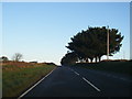 A487 near Trewallter Farm