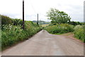 SX8043 : Lane to Stokenham by N Chadwick
