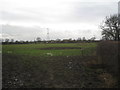 View towards Blacker Green Farm