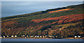 Innellan from Inverkip