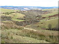 The upper Pitcairns Glen