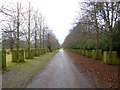 Dunham Massey, Smithy Drive