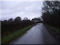 Road near Braydon Pond