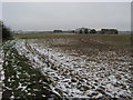 Footpath heading towards Tansley