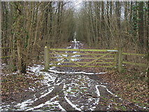 SP1706 : Path heading into Coln Lane Ground by Shaun Ferguson