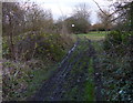 Muddy path to Scraptoft Golf Club