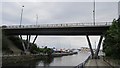 Bridge, Chirton Dene Way