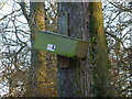 TF0820 : Owl box by Bob Harvey
