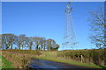 Electricity Pylon off Boat Lane