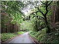 Road, Blakeridge Wood