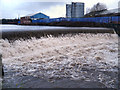 River Irwell, Bealey