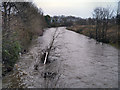 River Irwell, downstream from Warth Bridge