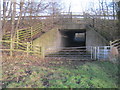 A177 underpass for footpath between Thorpe Thewles and Wynyard Woodland Park