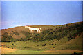 ST8951 : Westbury White Horse by Phil Champion