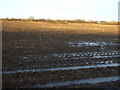 Farmland off Long Lane