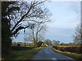 Road heading north towards West Rounton