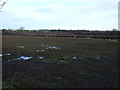 Farmland, Applegarth Manor