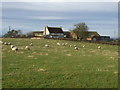 East Worsall Farm