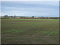 Farmland, High Worsall