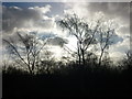 Top of Kersal Moor