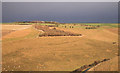 Millington Wold from Cow Moor