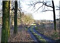 Woodland track to Round Green Lane