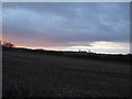 Farmland off Scholla Lane