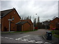 Tilia Close off Fuchsia Drive, Summergroves Way, Hull