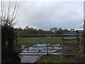 ST1412 : A waterlogged field at noon on New Year's Day 2013 by David Smith