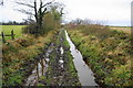 Track near Brick Kiln Covert