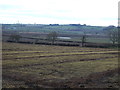 Farmland, Winton Grange