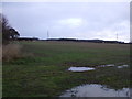 Farmland off the A19