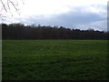 Farmland, East Rounton