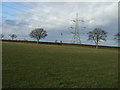 Farmland near Picton