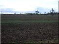 Farmland, Gardenstone Farm