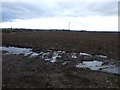 Farmland, Middleton Grange