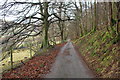 Unnamed Road Through Bully Wood