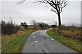 Looking towards Glebe Farm near Sunderland