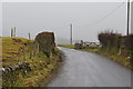 Cattle grid at Parkend Bridge