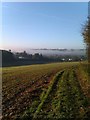 Lower Road under mist