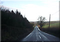 Long straight at Tansy Fields