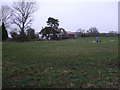 Thatched cottage, Badbury Wick