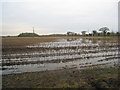 Waterlogged field off Campey Lane