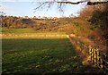 Fields on the Esk flood plain